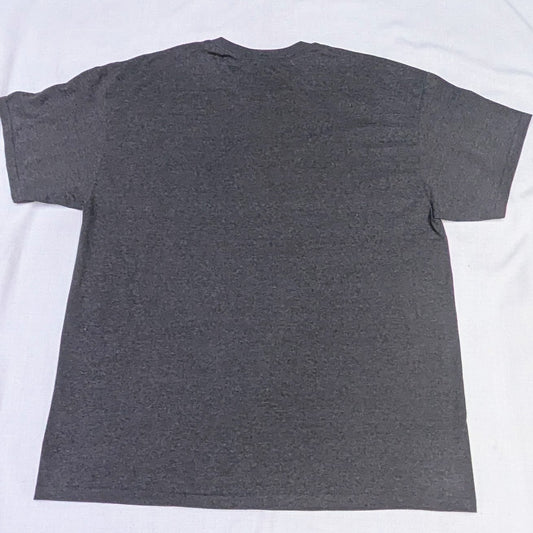 Grey "Brains are Awesome" T-shirt