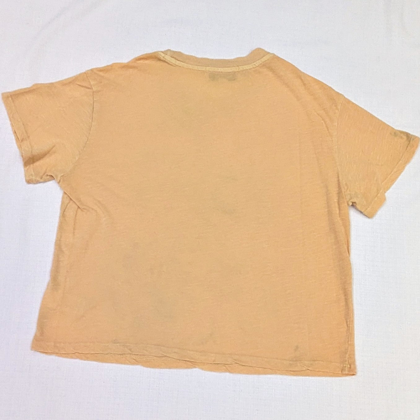 Champagne and oysters crop tee