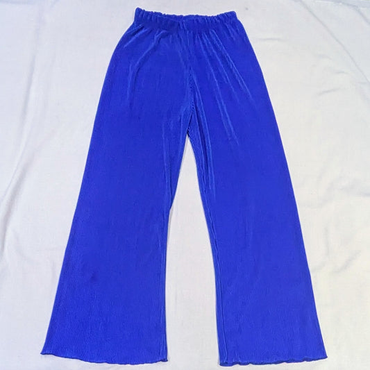 Blue Stretch pants